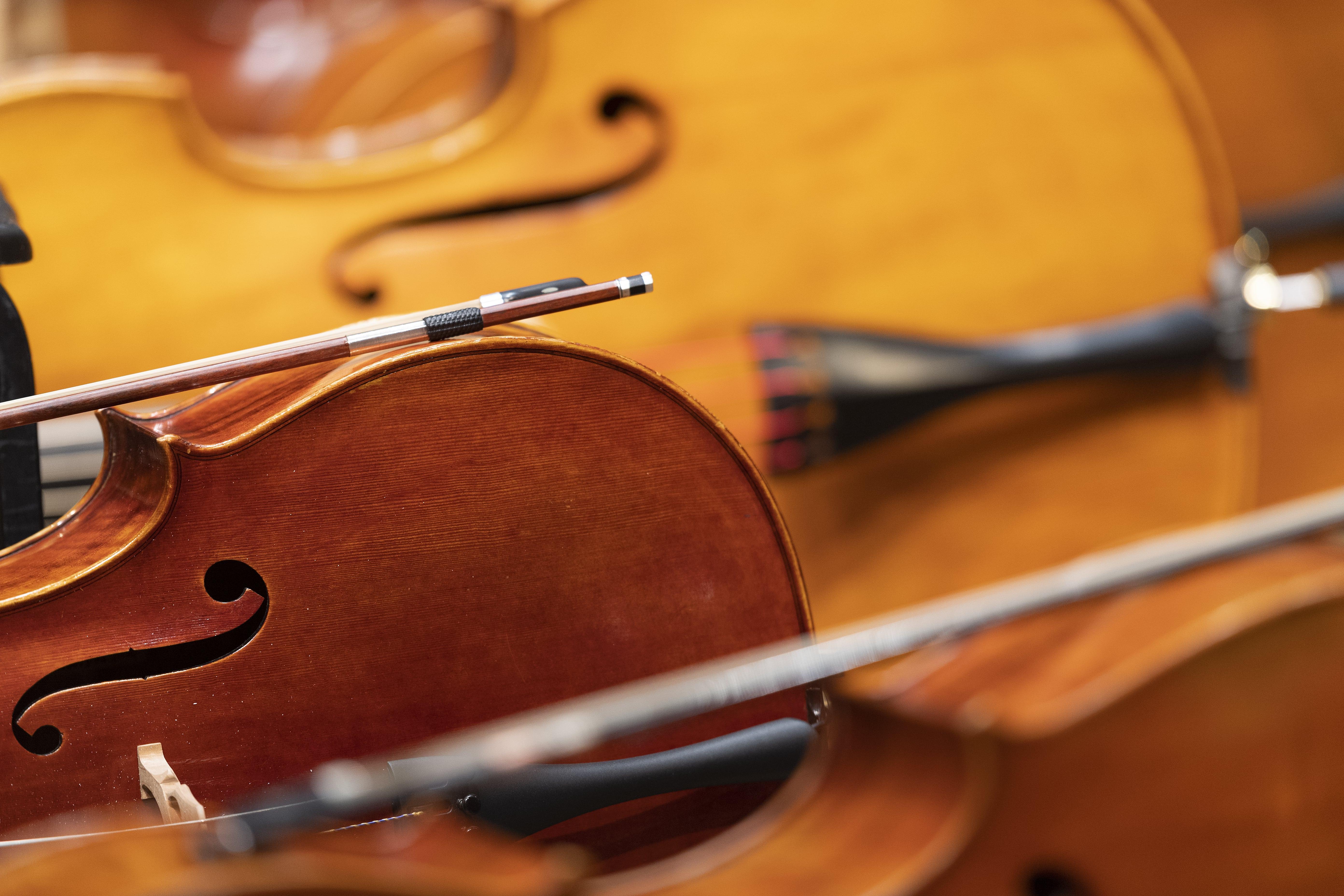 A soft focus shot of several cellos on their side.